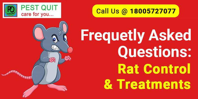 Frequetly Asked Questions Rat Control